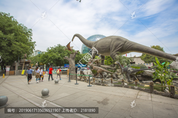 自然博物館