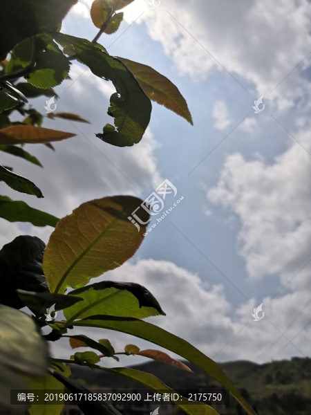 天空