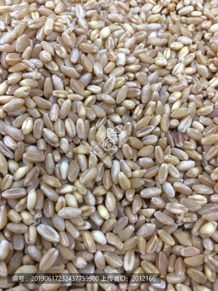 小麥