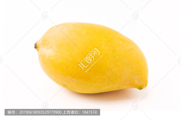 金煌芒