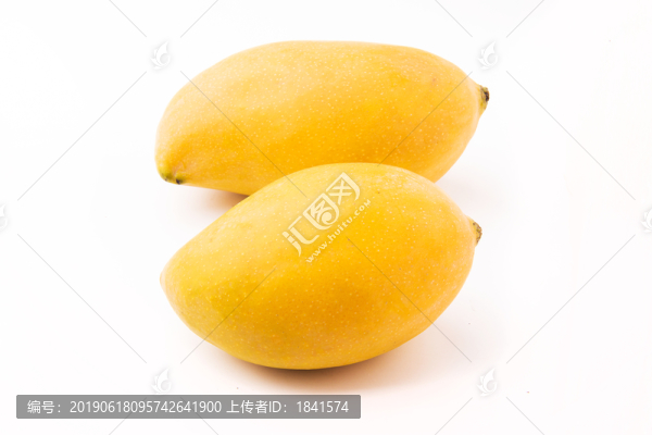 金煌芒