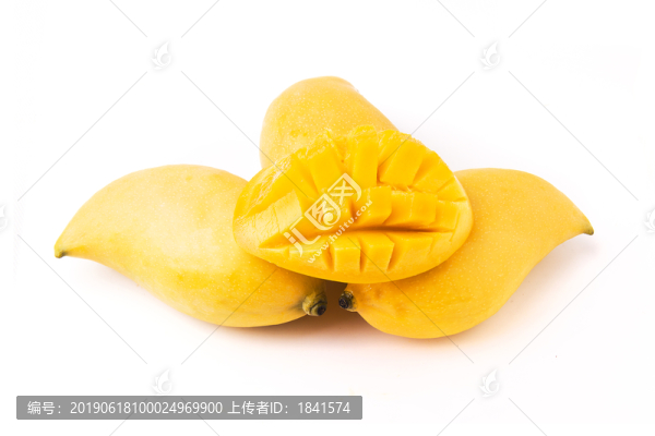 鷹嘴芒