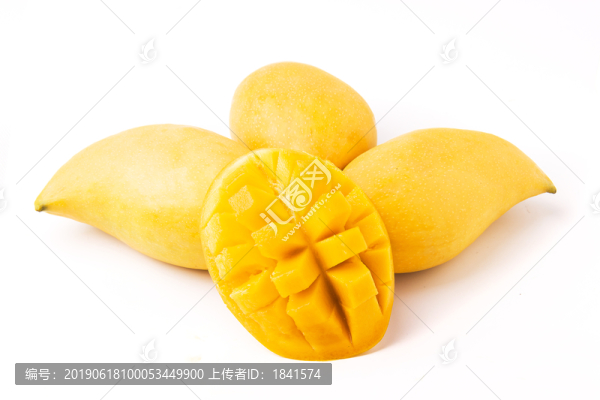 鷹嘴芒