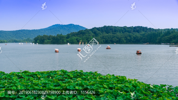 西湖十景之曲院風(fēng)荷