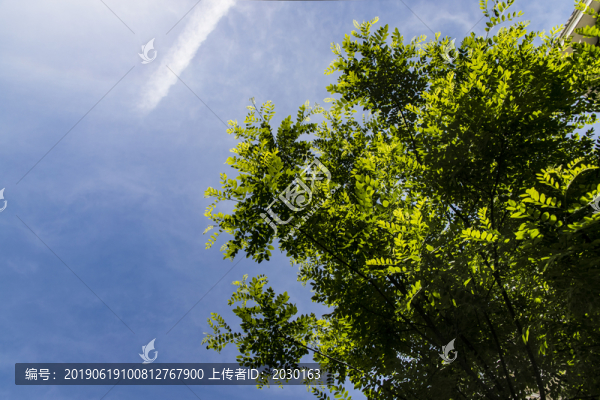藍天背景