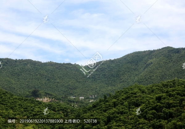 鄉(xiāng)村竹林