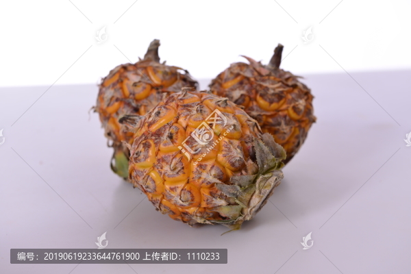 迷你菠蘿