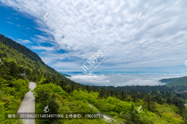 峨眉山雷洞坪的自然風(fēng)光