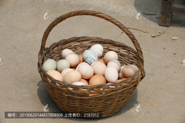 雞蛋