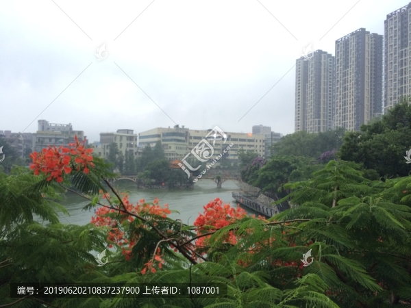 橫崗地鐵站