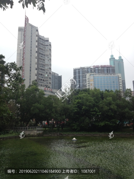 深圳市荔枝公園