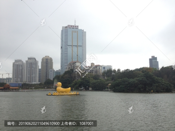 深圳市荔枝公園