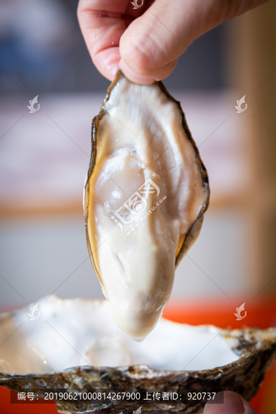 生蠔刺身