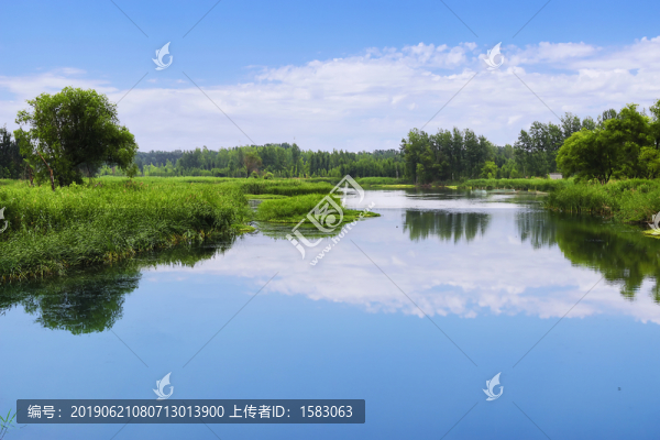 微山湖風景畫