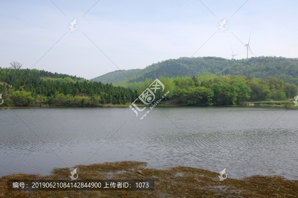 初春湖畔翠綠樹林