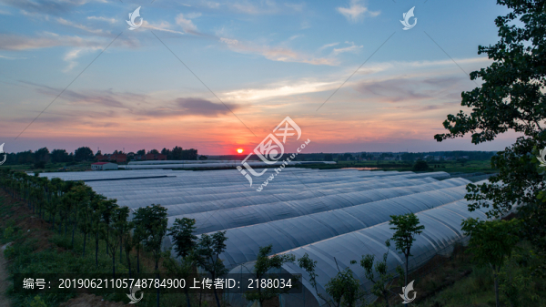 夕陽西下塑料大棚