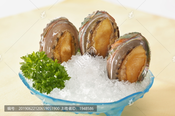 鮑魚