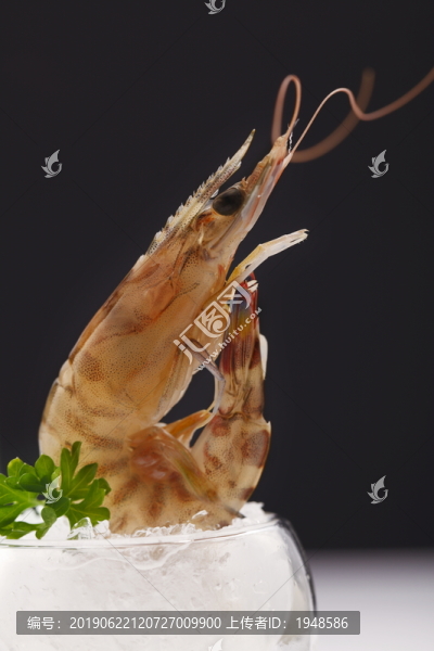 蝦
