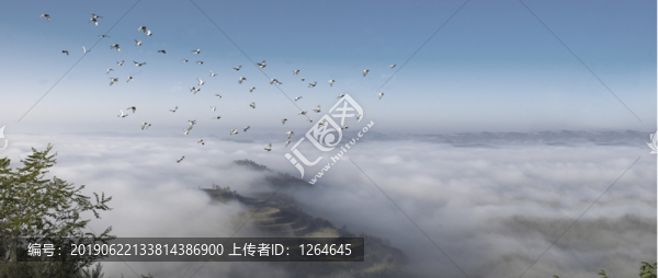 蘆草灣村