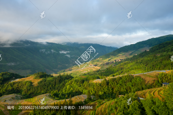 龍脊梯田