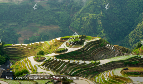 龍脊梯田