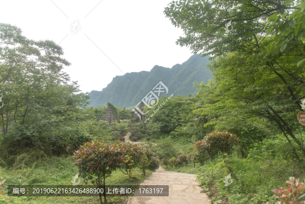 王山坪森林風(fēng)光