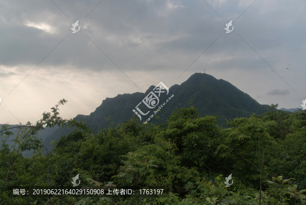 王山坪森林風(fēng)光