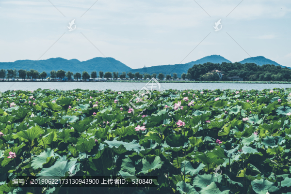 西湖