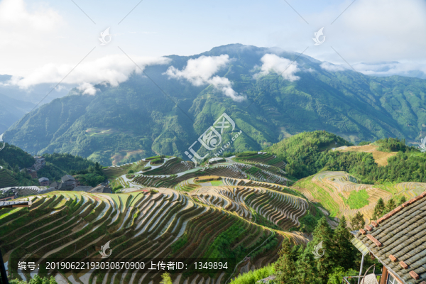 龍脊梯田