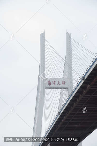 南浦大橋特寫局部