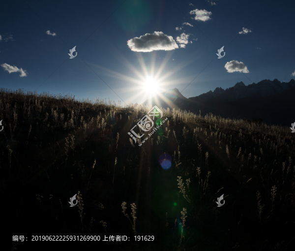 夕陽逆光