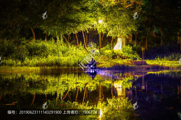 夜晚在長春御花園釣魚景觀