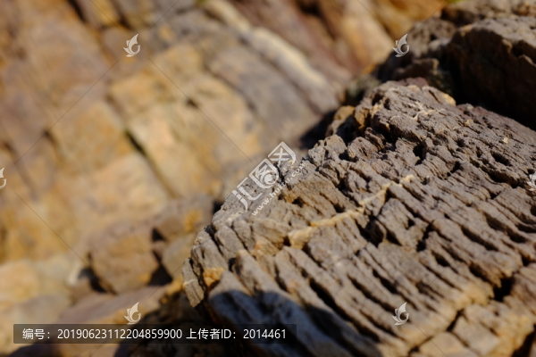 深圳東西涌