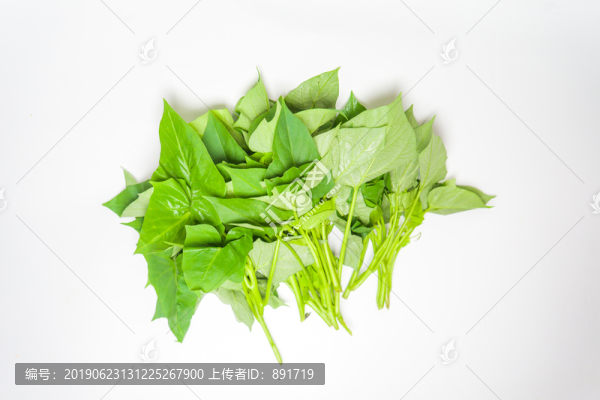 空心菜