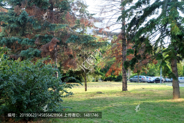 公園