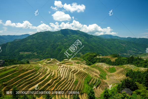 龍脊梯田