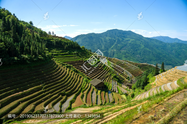 龍脊梯田