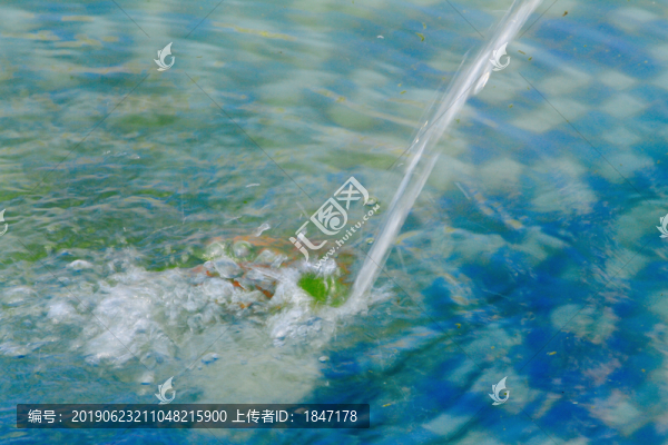 水花