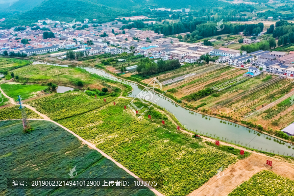 航拍徐州漢王鎮(zhèn)花田