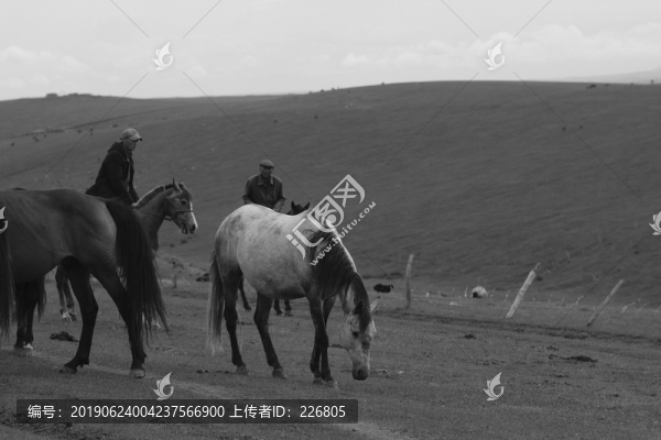 駿馬