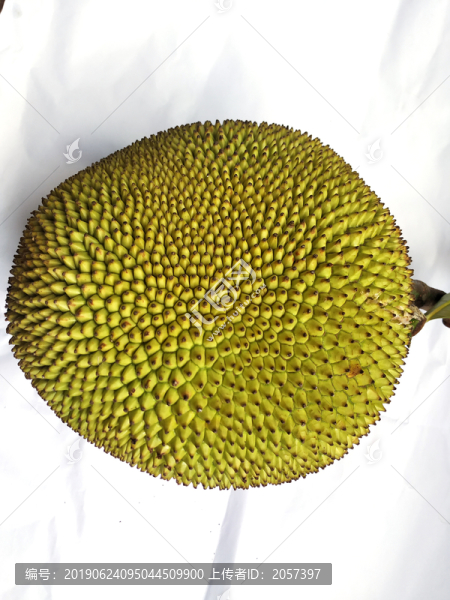 波蘿蜜