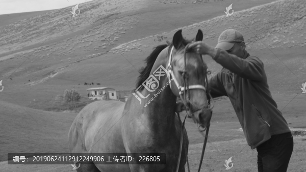 馴馬師