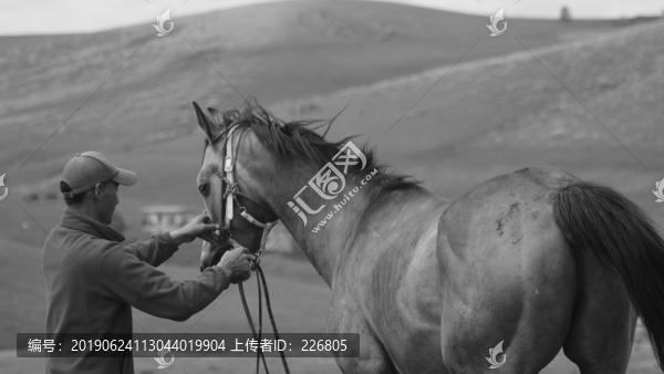 馴馬師