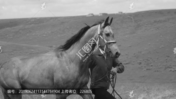 汗血寶馬