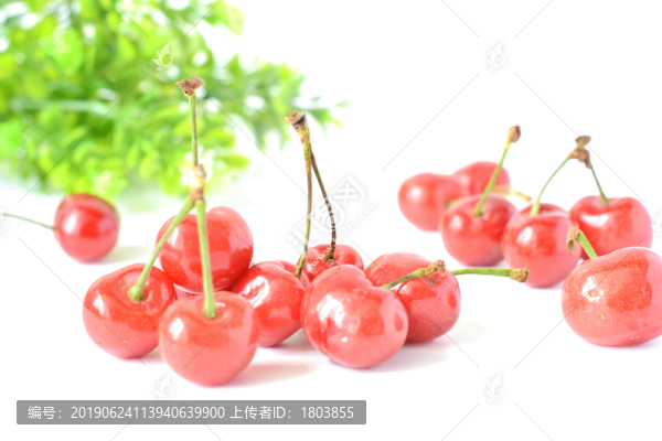 櫻桃