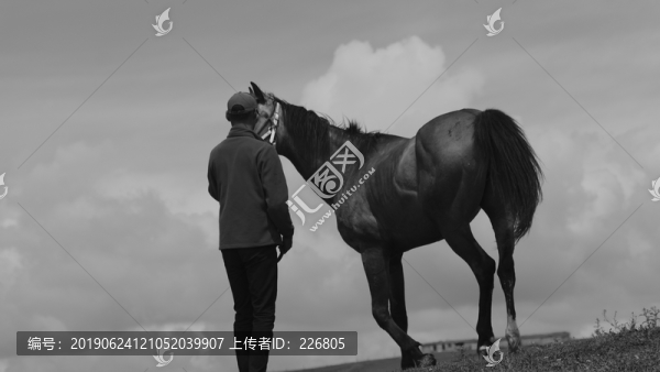 駿馬