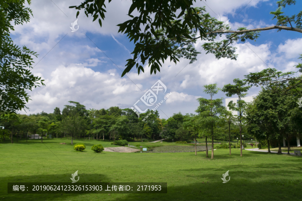藍天白云青草地