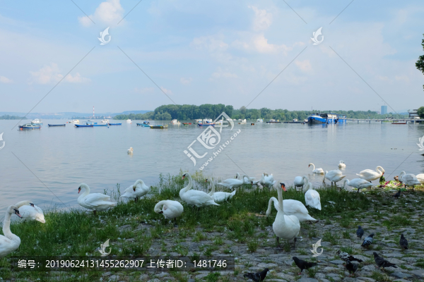 多瑙河