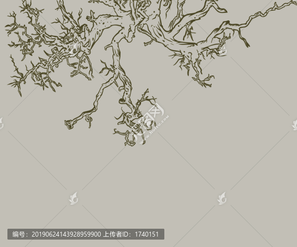 樹(shù)苗
