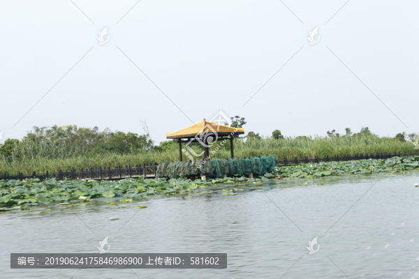陽(yáng)澄湖風(fēng)光